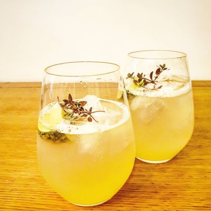 Lemon Elderflower Spritzer Cocktail Image