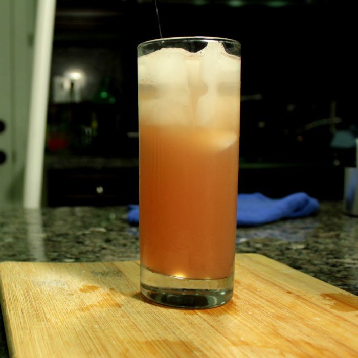 Tequila Fizz Cocktail Image