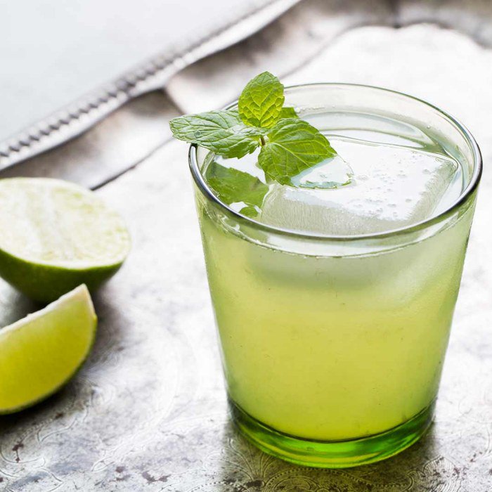 Limeade Cocktail Image