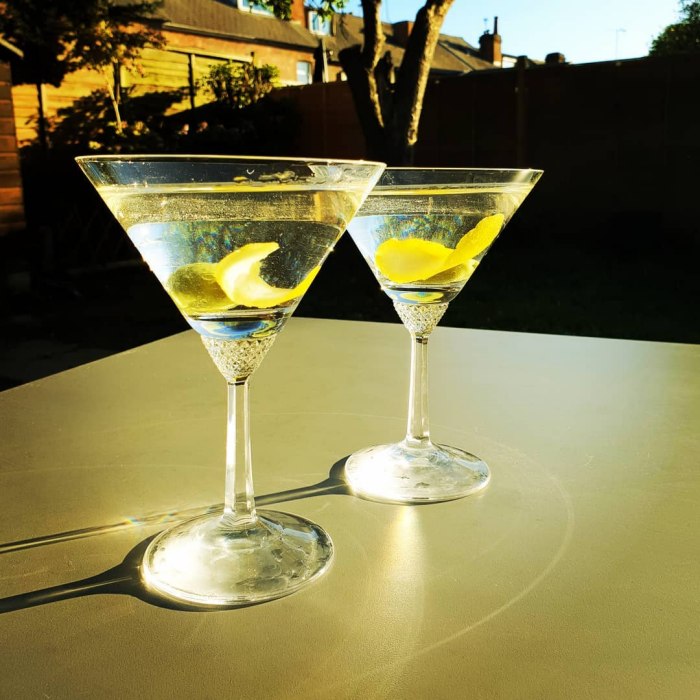 Dry Martini Cocktail Image