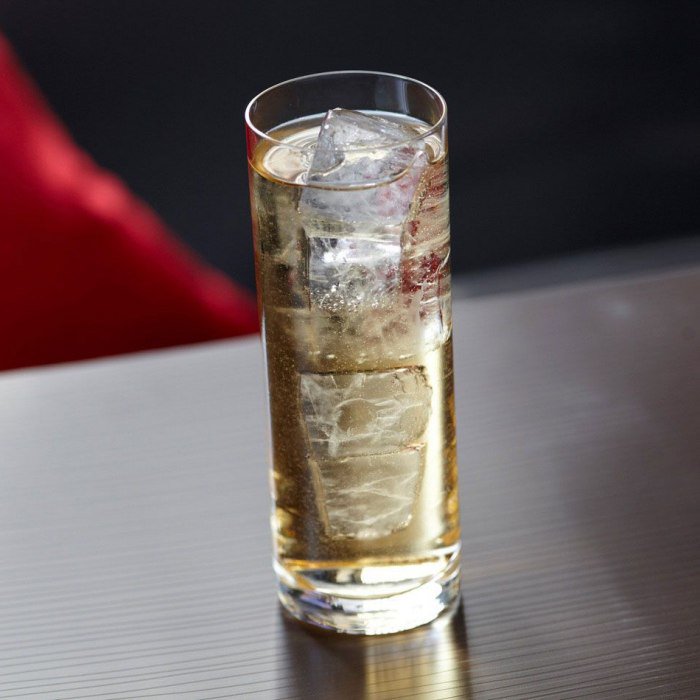 Long vodka Cocktail Image