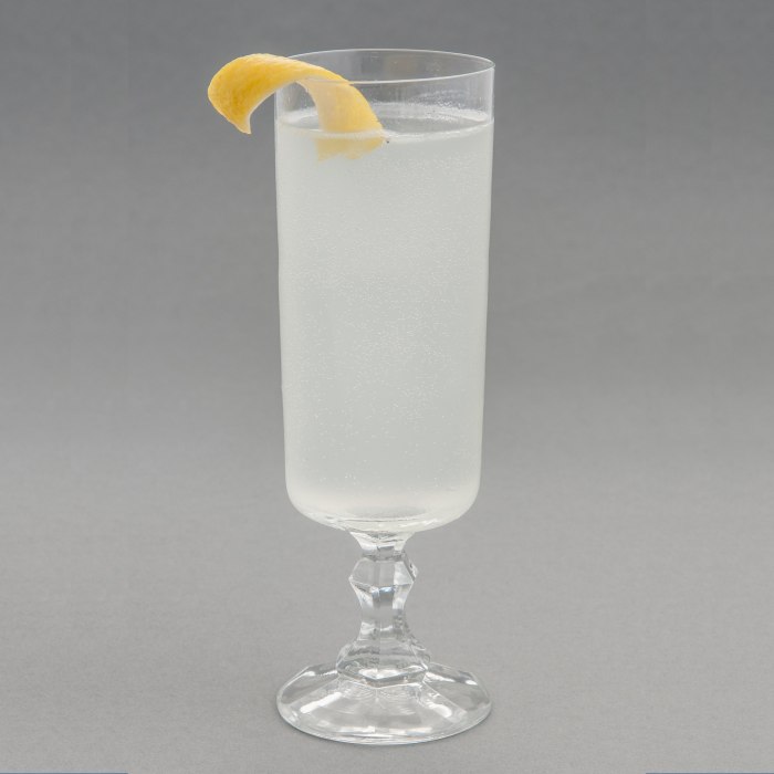 Gin Fizz Cocktail Image