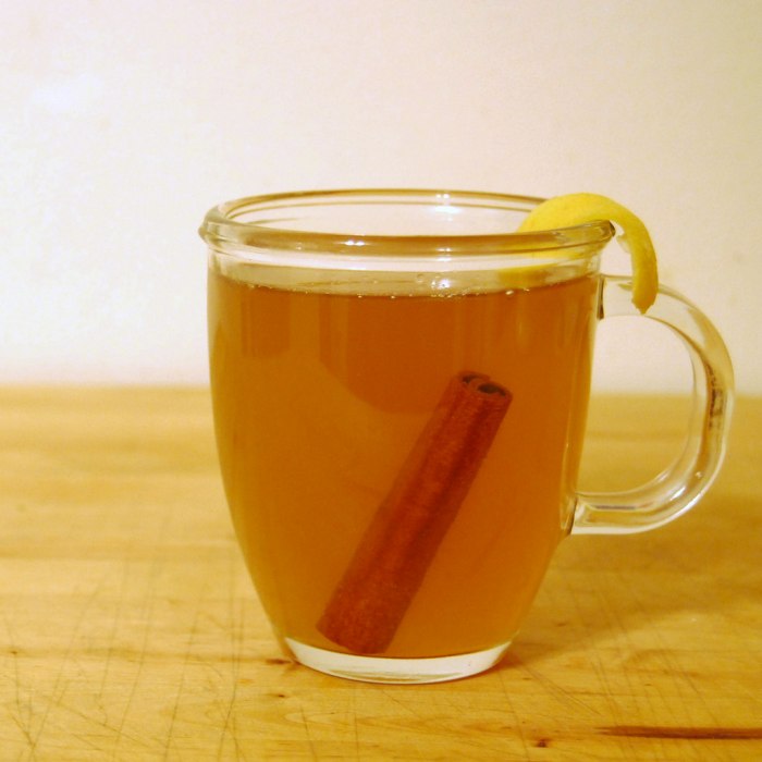 Hot Toddy Cocktail Image