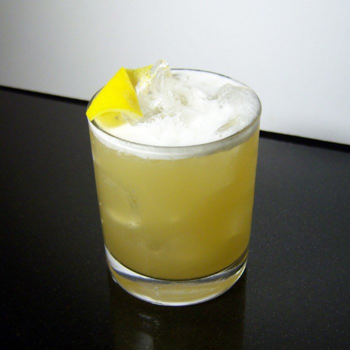 Boston Sour Cocktail Image