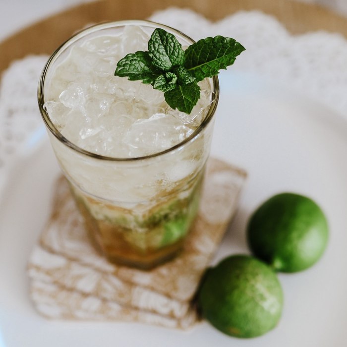 Mojito Cocktail Image