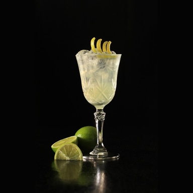 Gin Sour Cocktail Image