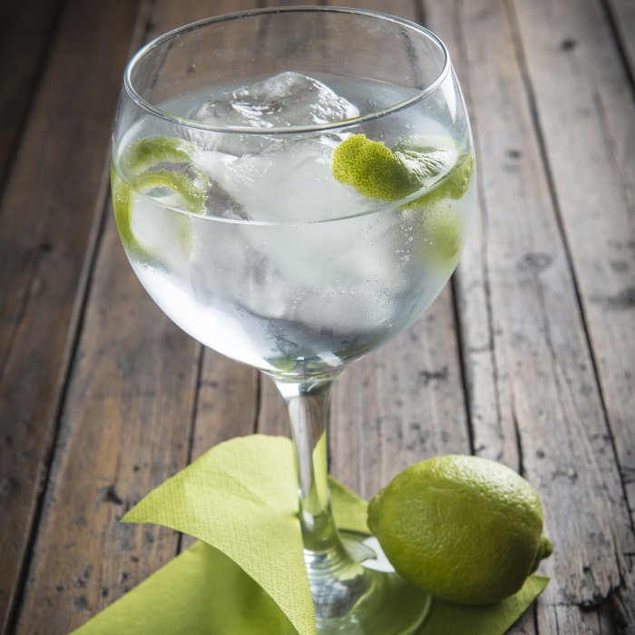 Gin and Soda Cocktail Image