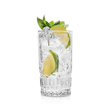 Gin Tonic Cocktail Image