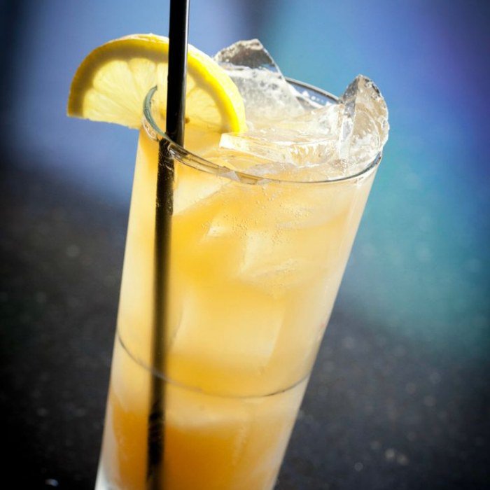 Texas Rattlesnake Cocktail Image