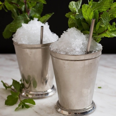 Mint Julep Cocktail Image