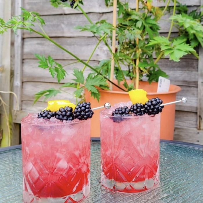 Bramble Cocktail Image